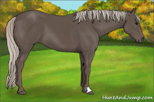 Horse Color:Silver Black 