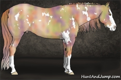 Horse Color:Nacre White Spotted Gold Champagne Splash 