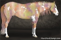 Horse Color:Nacre White Spotted Gold Champagne Splash
