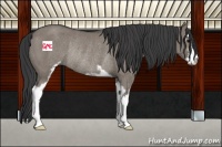 Horse Color:Grullo Sabino Rabicano