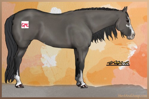 Horse Color:Grullo Sabino