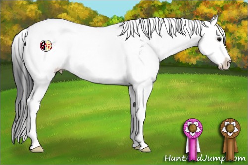 Horse Color:Grullo Sabino 