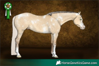 Horse Color:White Spotted Chocolate Silver Sable Cream Champagne Dun Sabino 