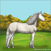 Horse Color:Chocolate Palomino Pearl Splash 