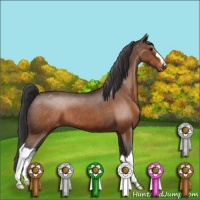 Horse Color:Brown Appaloosa 