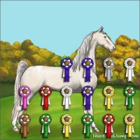 Horse Color:Cremello Appaloosa 