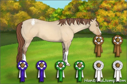 Horse Color:Sable Champagne Dun Appaloosa 