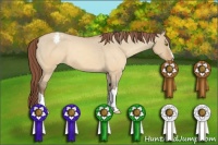 Horse Color:Sable Champagne Dun Snowcap 
