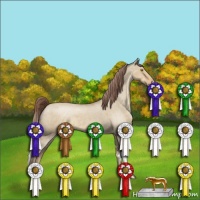 Horse Color:Sable Champagne Dun Varnish 