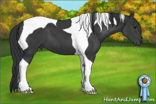 Horse Color:Black Tobiano 