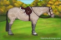 Horse Color:Brown Ice Dun 