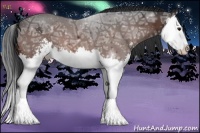 Horse Color:Brown Ice Sabino Splash Varnish 