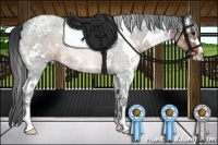 Horse Color:White Spotted Brown Ice Sabino