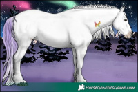 Horse Color:Watercolor Brown Ice Sabino Appaloosa