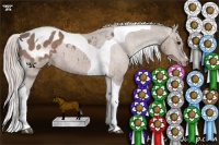 Horse Color:Silver Brown Dun Tobiano Blanket 