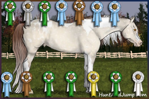 Horse Color:Sable Champagne Dun Tobiano Appaloosa 