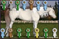 Horse Color:Sable Champagne Dun Tobiano Appaloosa 