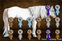 Horse Color:Sable Champagne Dun Frame Varnish 