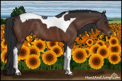 Horse Color:Brown Tobiano Varnish Rabicano 