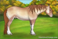Horse Color:Gold Champagne Onyx Brindle