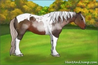Horse Color:Silver Brown Tobiano 