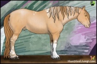 Horse Color:Bay Pearl Tobiano and Bay Pearl