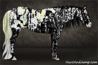 Horse Color:Liver Chestnut Ice Sabino Splash Appaloosa  and Watercolor Liver Red Onyx Ice Splash Appaloosa 