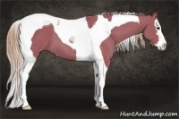 Horse Color:Watercolor Chestnut Sabino Splash Tobiano 