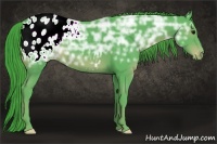 Horse Color:Watercolor Black Ice Appaloosa 