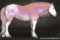 Horse Color:Watercolor Red Onyx Sabino Splash Appaloosa 