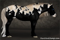 Horse Color:White Spotted Black Pearl Splash