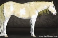 Horse Color:Watercolor Liver Red Dun Ice Splash 