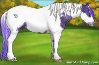 Horse Color:Watercolor White Spotted Brown Ice Tobiano Frame