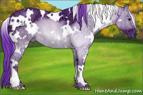 Horse Color:Watercolor White Spotted Black Ice 