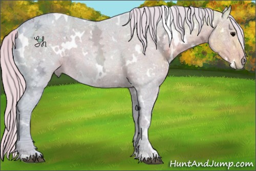 Horse Color:Watercolor White Spotted Silver Black Ice 
