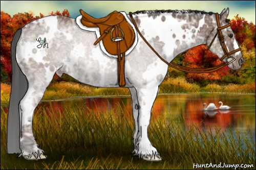 Horse Color:White Spotted Bay Ice 