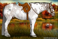 Horse Color:White Spotted Bay Ice