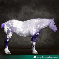 Horse Color:Watercolor White Spotted Black Ice 