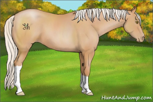 Horse Color:Silver Bay Pearl 