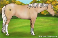 Horse Color:Silver Bay Pearl 