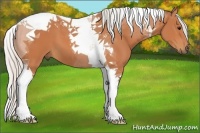 Horse Color:Silver Bay Tobiano 