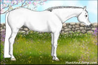 Horse Color:Gray Bay Dun