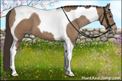 Horse Color:Classic Champagne Tobiano 