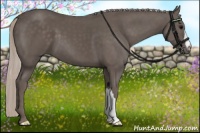 Horse Color:Silver Black 