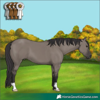 Horse Color:Smoky Grullo 