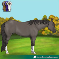 Horse Color:Smoky Grullo