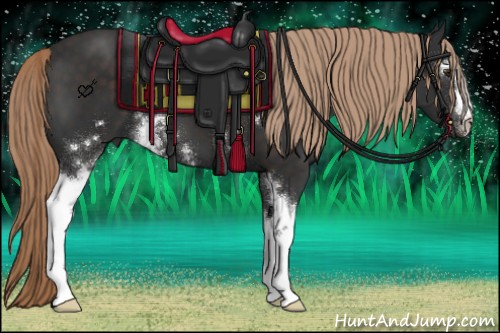 Horse Color:White Spotted Liver Chestnut 