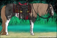 Horse Color:White Spotted Liver Chestnut