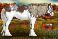 Horse Color:White Spotted Liver Chestnut Splash 