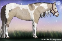 Horse Color:Liver Red Dun Splash Tobiano 